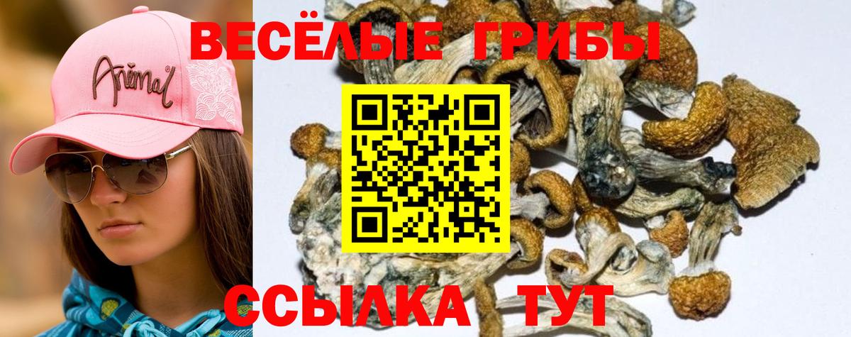 Галлюциногенные грибы ЛСД  Вход с VPN  Галлюциногенные грибы Cubensis  Саранск 